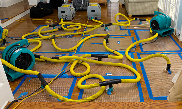 Professional Crawl Space Water Removal technician working in Riverview, FL
